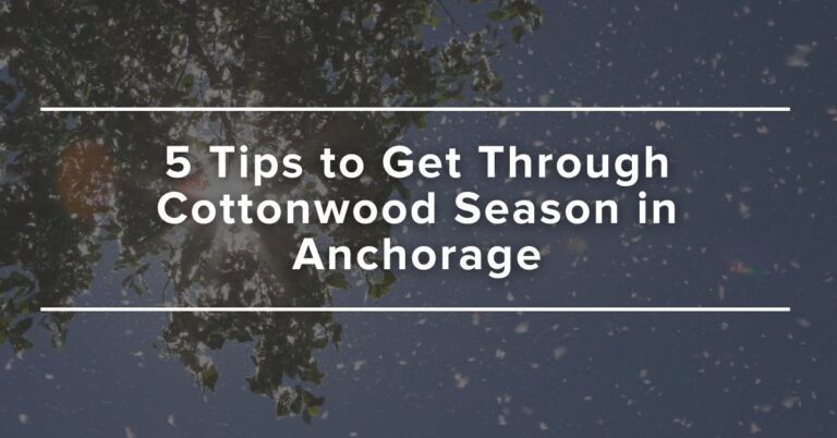 5 HVAC Tips to Get Through Cottonwood Season in Anchorage